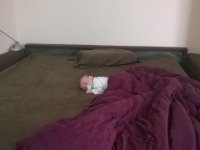 WP 20140404 001