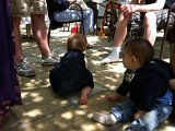IMG 0824