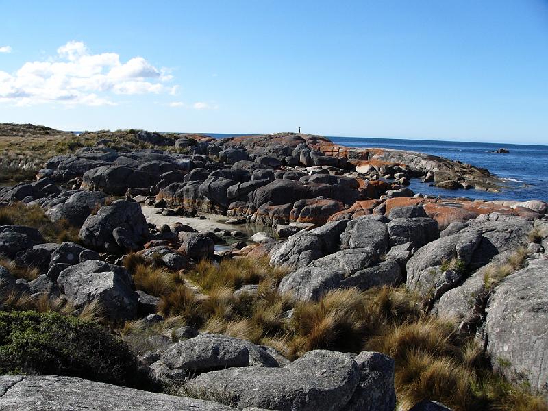 P1040898.JPG