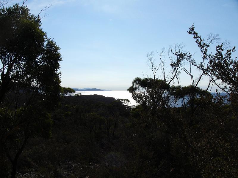 P1050037.JPG