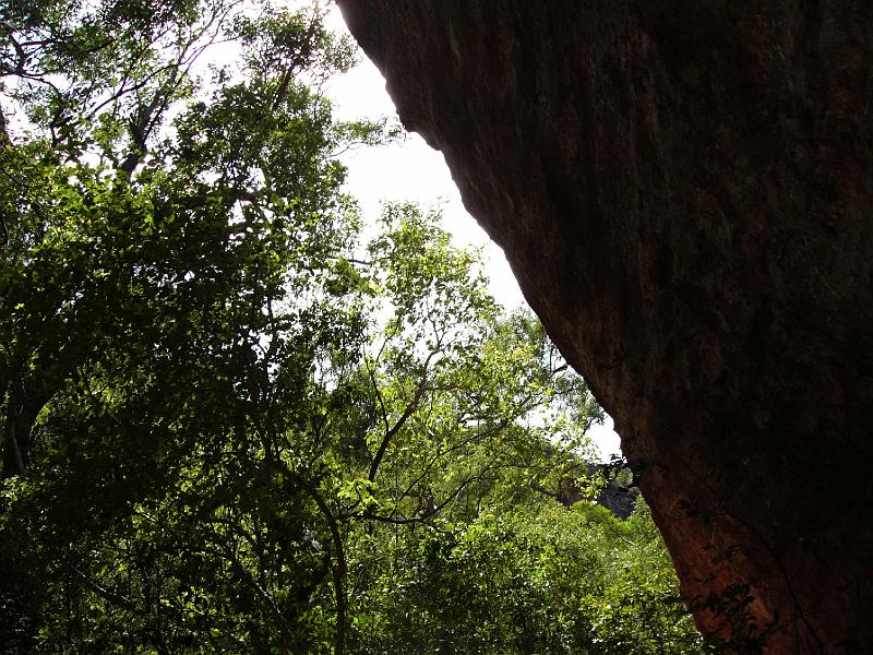 P1050210.JPG