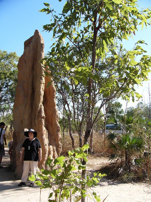 P1050250.JPG - Litchfield National Park, termites hills