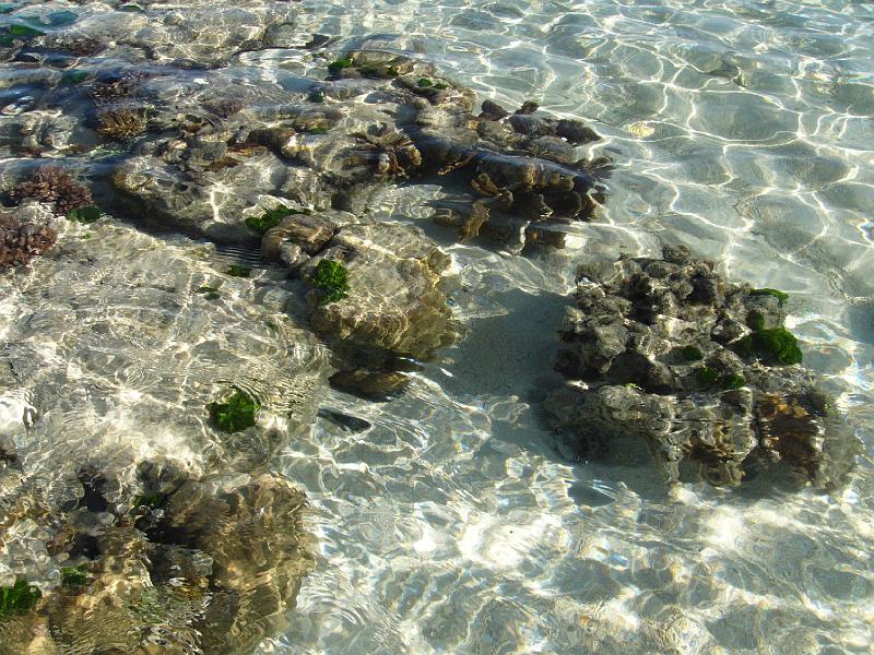 P1050307.JPG