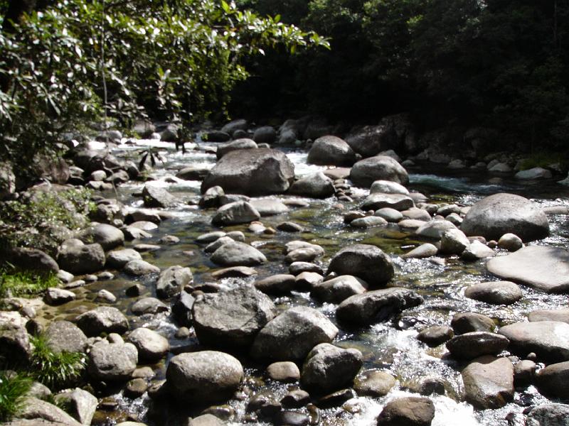P1050340.JPG