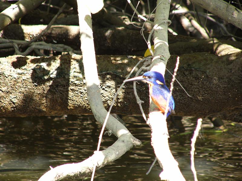 P1050349.JPG