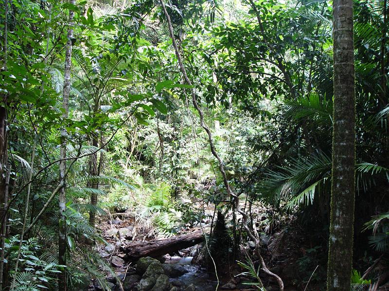 P1050380.JPG