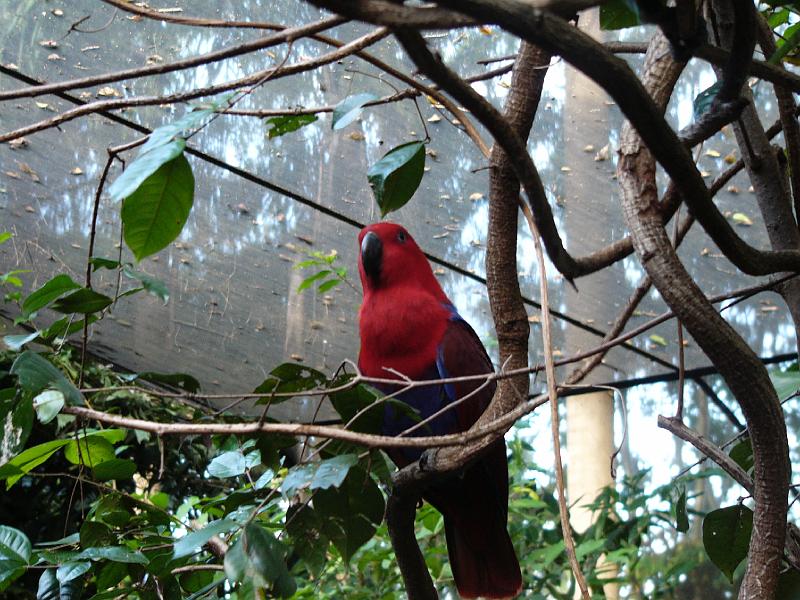 P1050435.JPG