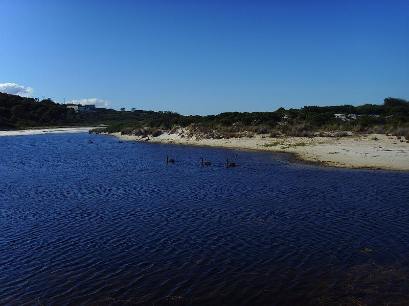 SSL21429.JPG