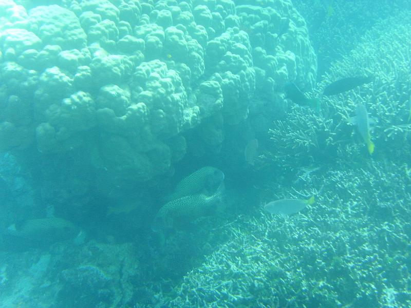 SSL21729.JPG