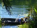 SSL21892