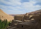 2005-08-04-TURFAN-0672