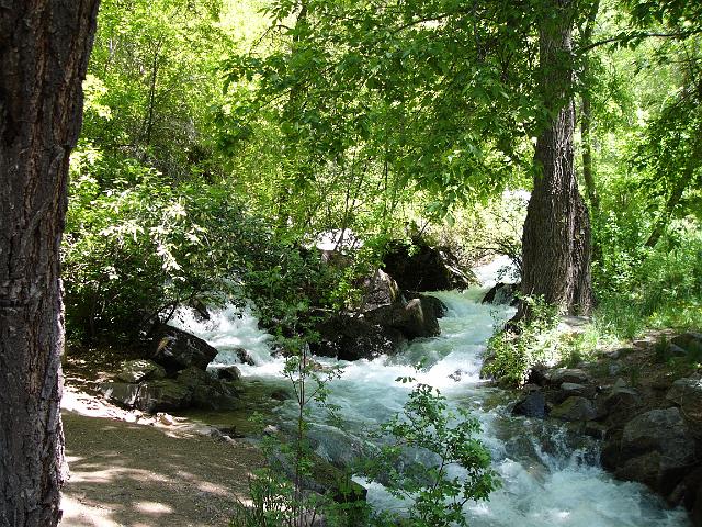 P1040091.JPG