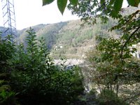DSC00567