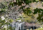 2008-04-05-HIMEJI-P1010893