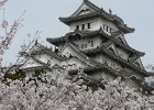 2008-04-05-HIMEJI-P1010921