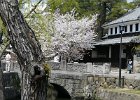 2008-04-06-KURASHIKI-P1010984