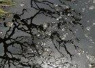 2008-04-12-TOKYO-P1020228