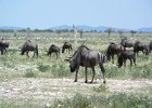 P1000585
