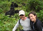 2006-07-26-GORILLAS-IMG 1792
