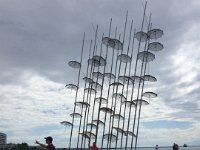 IMG 3165