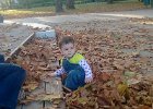 WP 20131023 004