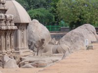 DSC01753  Mahabalipuram,  cinq Rhatas,