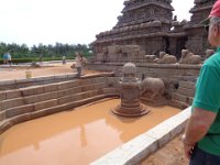 DSC01762  Mahabalipuram, shore temples