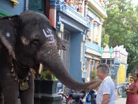 DSC01802  at the temple in Pondicherri, getting a blessing