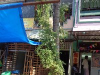 DSC01814