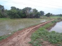 DSC01856
