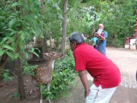 DSC01857  kumbakunam, Indeco hotel
