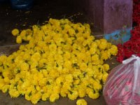 DSC01951  Madurai flower market
