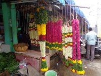 DSC01958