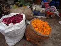 DSC01960