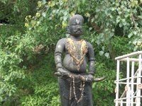 DSC01981
