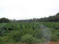 DSC01985
