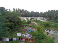 DSC01986