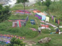 DSC01987