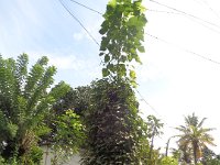 DSC01996