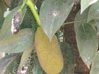 DSC02000