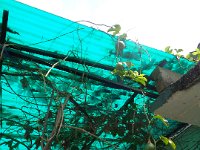 DSC02029