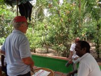 DSC02031  spice garden Periyar