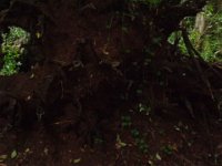 DSC02053