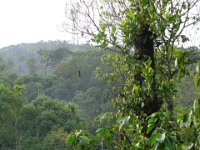 DSC02062
