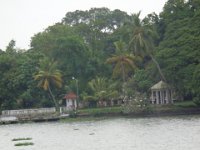 DSC02096  Kochi harbour cruise