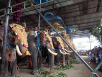 DSC02204  thuravoor mahakshethram festival