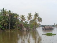 DSC02236  houseboats, backwaters