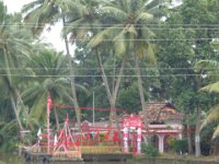 DSC02248