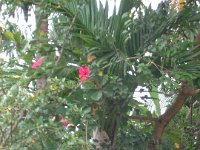 DSC02278