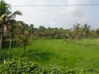 DSC02307